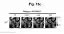 Fig. 19 - hTRPA1-activating composition and use thereof