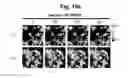 Fig. 22 - hTRPA1-activating composition and use thereof