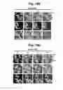 Fig. 25 - hTRPA1-activating composition and use thereof