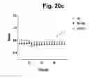 Fig. 29 - hTRPA1-activating composition and use thereof