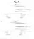 Fig. 30 - hTRPA1-activating composition and use thereof