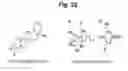 Fig. 31 - hTRPA1-activating composition and use thereof