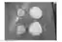 Fig. 01 - DEGRADABLE CHEWING GUM AND METHOD OF MAKING THE SAME