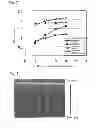 Fig. 07 - Method for producing ionomer-coated, catalyst-supporting carbon nanotubes