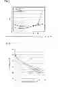 Fig. 08 - Method for producing ionomer-coated, catalyst-supporting carbon nanotubes