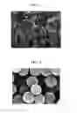 Fig. 03 - Anode active material for lithium secondary battery and lithium secondary battery comprising the same