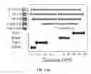 Fig. 10 - Modified graphitic electrodes for electrochemical energy storage enhancement