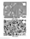 Fig. 22 - Modified graphitic electrodes for electrochemical energy storage enhancement