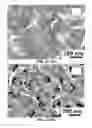 Fig. 23 - Modified graphitic electrodes for electrochemical energy storage enhancement