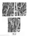 Fig. 44 - Modified graphitic electrodes for electrochemical energy storage enhancement