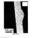 Fig. 50 - Modified graphitic electrodes for electrochemical energy storage enhancement