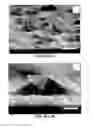 Fig. 53 - Modified graphitic electrodes for electrochemical energy storage enhancement
