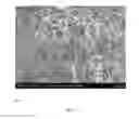 Fig. 82 - Modified graphitic electrodes for electrochemical energy storage enhancement