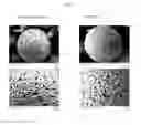 Fig. 07 - PREPARATION METHOD OF LITHIUM TITANIUM COMPOSITE OXIDE DOPED WITH DISSIMILAR METAL, AND LITHIUM TITANIUM COMPOSITE OXIDE DOPED WITH DISSIMILAR METAL PREPARED THEREBY