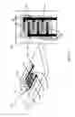Fig. 03 - Printed biofuel cells