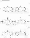 Fig. 17 - POLYMER ELECTROLYTE MEMBRANE, MEMBRANE ELECTRODE ASSEMBLY USING SAME AND POLYMER ELECTROLYTE FUEL CELL