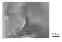 Fig. 01 - ELECTRODE FOR ELECTROCHEMISTRY AND MANUFACTURING METHOD FOR THE SAME