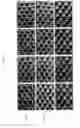 Fig. 02 - Method of improving surface cure in digital flexographic printing plates