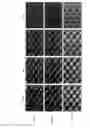 Fig. 03 - Method of improving surface cure in digital flexographic printing plates
