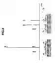 Fig. 04 - Patterning process and resist composition