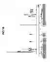 Fig. 17 - Patterning process and resist composition