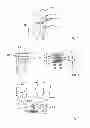 Fig. 02 - Method and system for establishing the shape of the occlusal access cavity in endodontic treatment