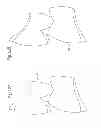 Fig. 17 - ARTIFICIAL TOOTH, A JIG FOR ARRANGING THE SAME, AN ARRANGEMENT METHOD OF THE SAME AND A DENTURE