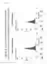 Fig. 08 - Monoclonal antibody specifically recognizing asparagine synthetase