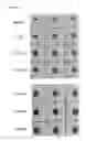 Fig. 09 - ASSAY