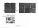 Fig. 02 - Botulinum Neurotoxin E Receptors and Uses Thereof