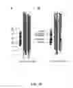 Fig. 46 - AMYLOID BETA-DERIVED DIFFUSIBLE LIGANDS (ADDLs), ADDL-BINDING MOLECULES, AND USES THEREOF