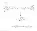 Fig. 09 - Methods and compounds for detecting beta-lactamase activity
