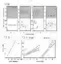 Fig. 04 - Cell Free CD4 Quantitation and Methods of Use