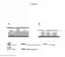 Fig. 02 - METHODS AND A DEVICE FOR THE FORMATION OF THREE-DIMENSIONAL MULTICELLULAR ASSEMBLIES