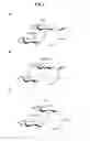 Fig. 03 - Chemically modified sophorolipids and uses thereof