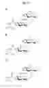 Fig. 05 - Chemically modified sophorolipids and uses thereof
