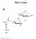 Fig. 08 - Chemically modified sophorolipids and uses thereof