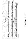 Fig. 06 - Method for making multispecific antibodies having heteromultimeric and common components