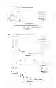 Fig. 17 - Nucleic acids encoding antibodies that bind colony stimulating factor 1 receptor (CSF1R)