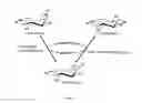 Fig. 02 - METHOD FOR PRODUCING SCYLLO-INOSITOL