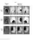 Fig. 03 - Systems and methods for magnetic guidance and patterning of materials