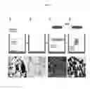 Fig. 04 - Systems and methods for magnetic guidance and patterning of materials
