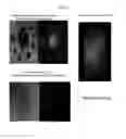 Fig. 08 - Systems and methods for magnetic guidance and patterning of materials