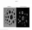 Fig. 09 - Systems and methods for magnetic guidance and patterning of materials