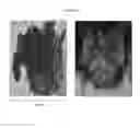 Fig. 10 - Systems and methods for magnetic guidance and patterning of materials