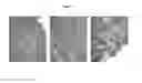 Fig. 11 - Systems and methods for magnetic guidance and patterning of materials