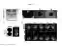 Fig. 14 - Systems and methods for magnetic guidance and patterning of materials