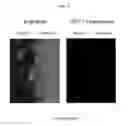 Fig. 25 - Systems and methods for magnetic guidance and patterning of materials