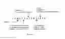 Fig. 02 - METHODS, PEPTIDES AND BIOSENSORS USEFUL FOR DETECTING A BROAD SPECTRUM OF BACTERIA