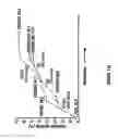 Fig. 12 - Cytochrome P450 oxygenases